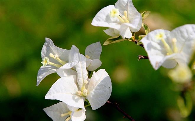 Những cung hoàng đạo khó thoát khỏi bóng tối sau chia tay, sống trong kỷ niệm.