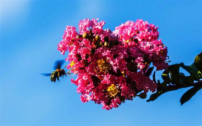 Ba cung hoàng đạo nghiện đời độc thân hàng đầu